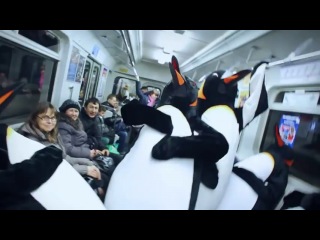 penguins on the subway
