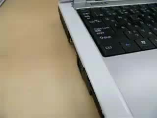 the dog abuses the computer