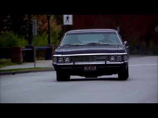 impala. return.