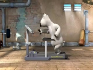 bear bernard and the treadmill
