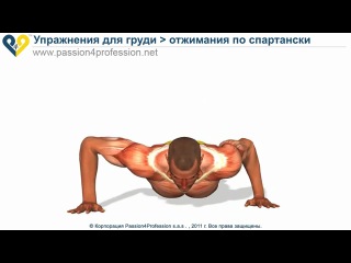 chest workout - spartan push-ups